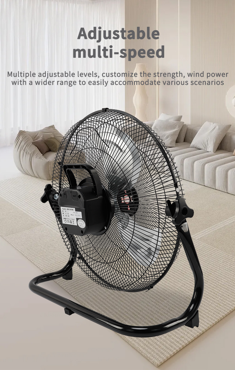 태양 바닥 팬 (2) 