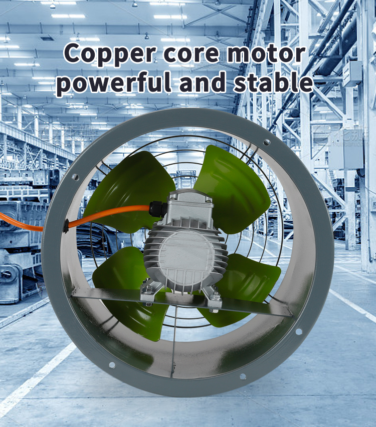 SF 시리즈 저음 축 방향 흐름 팬 산업 축 축축 팬 